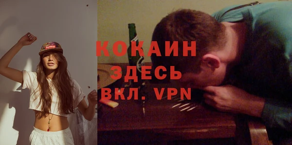 дживик Баксан