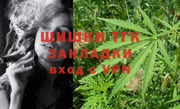 дживик Баксан