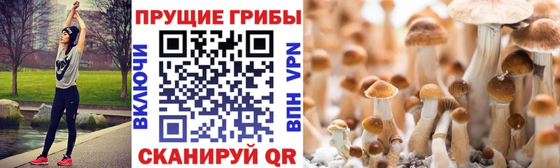 даркнет сайт  Верхний Уфалей  Галлюциногенные грибы Cubensis 